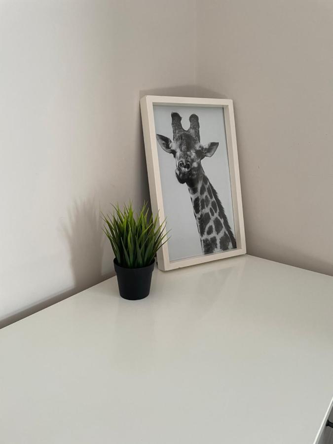 The Corner House - Modern Chesterfield Town Centre Apartments Exteriér fotografie